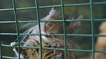 Картинка - 6