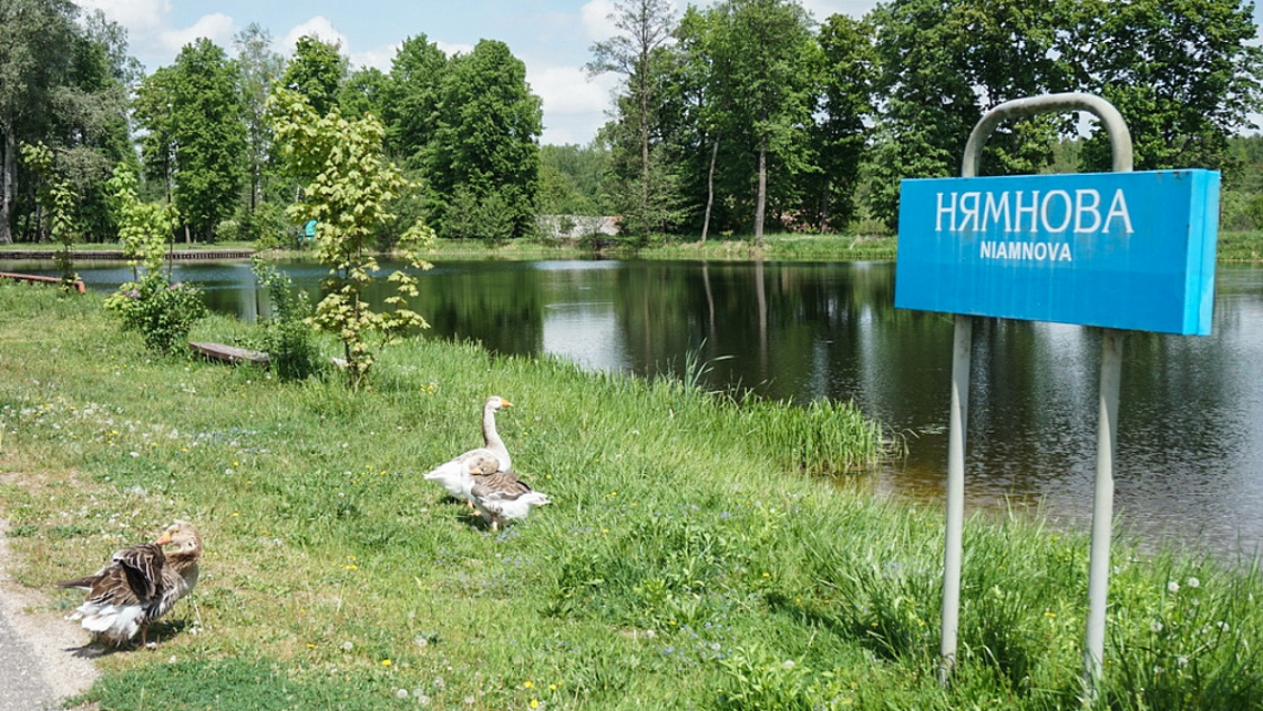 Картинка - 1