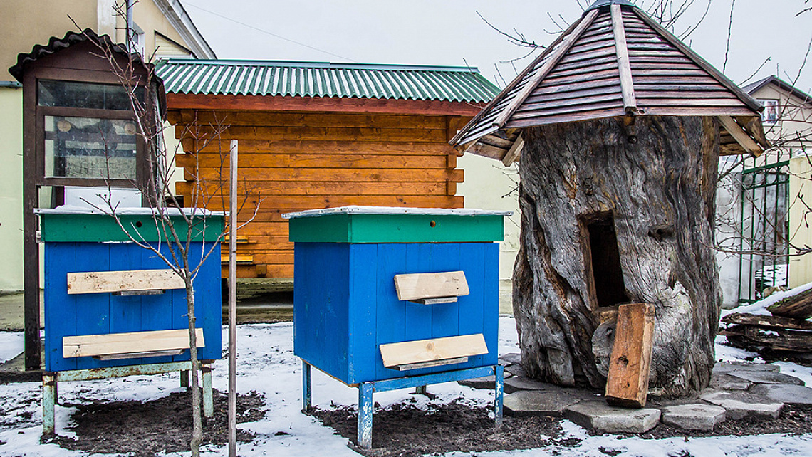 Картинка - 1