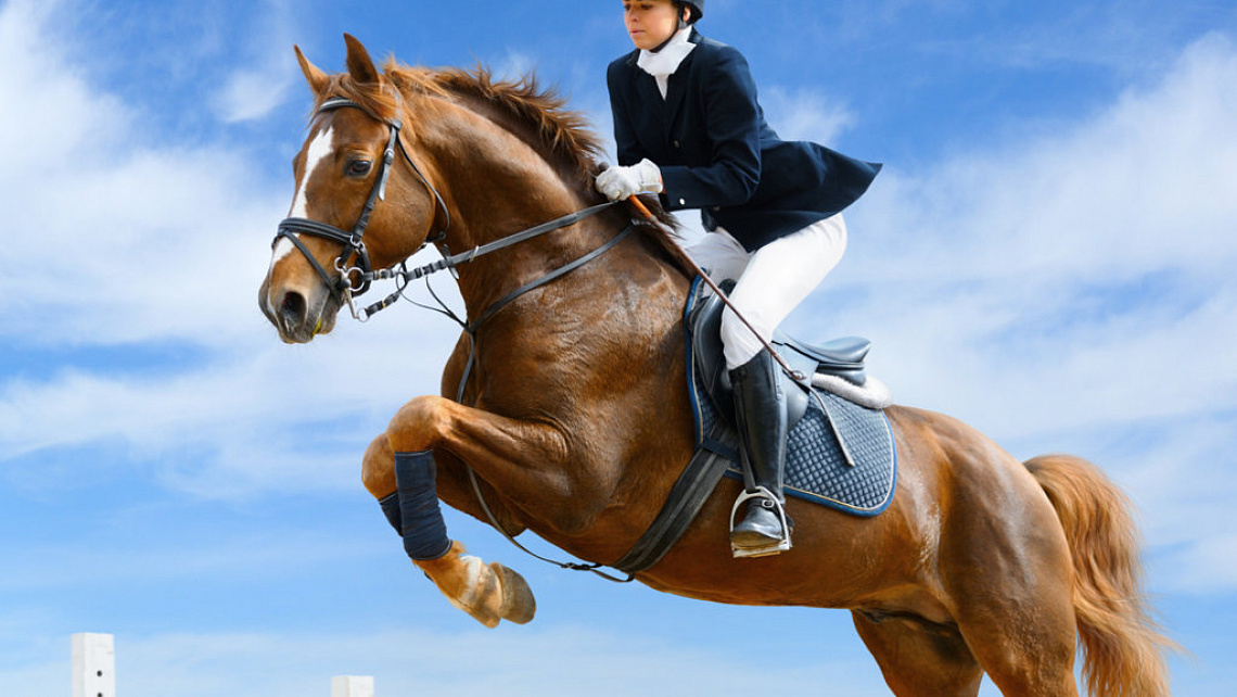 Картинка - 1