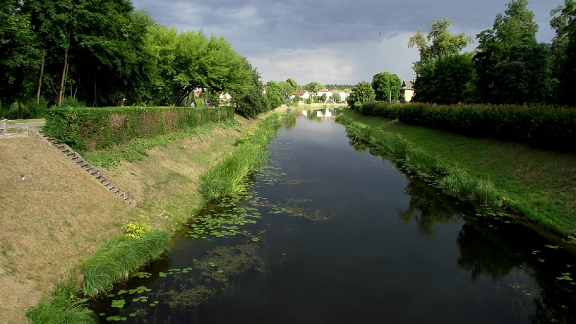 Картинка - 1