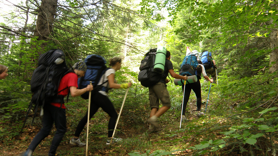 Картинка - 1